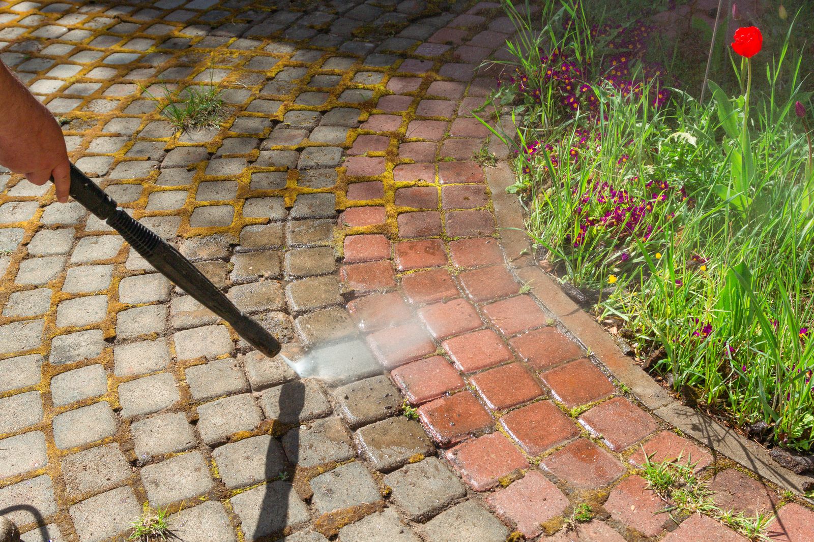 Moss & Weed Treatment
